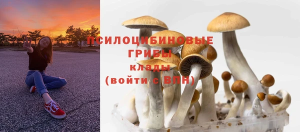 стаф Абдулино