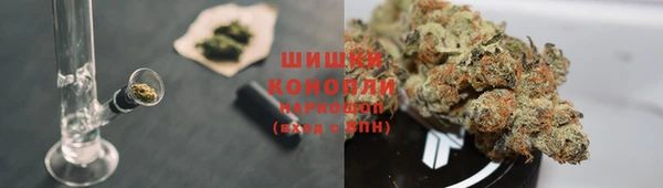 стаф Абдулино