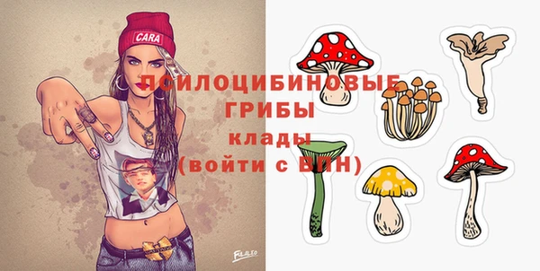 ALPHA PVP Михайловск